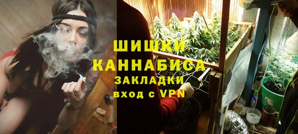 тгк Бронницы