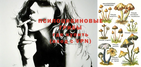 тгк Бронницы