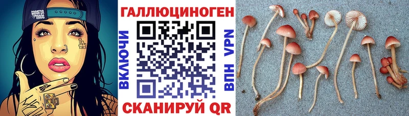 Галлюциногенные грибы MAGIC MUSHROOMS  Коркино 